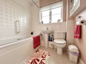 Photo 14- click for photo gallery